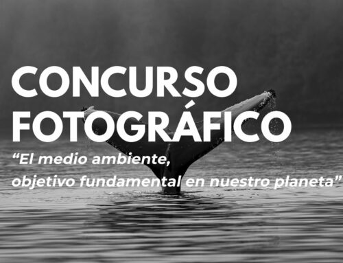 Concurso fotográfico: «El medio ambiente, objetivo fundamental en nuestro planeta»