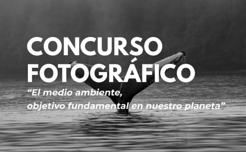 CONCURSO FOTOGRÁFICO WEB