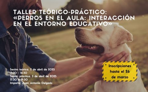 Perros en el aula (1140 x 626 px)